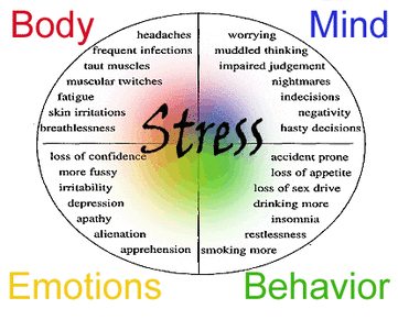 The Causes and Effects of Stress